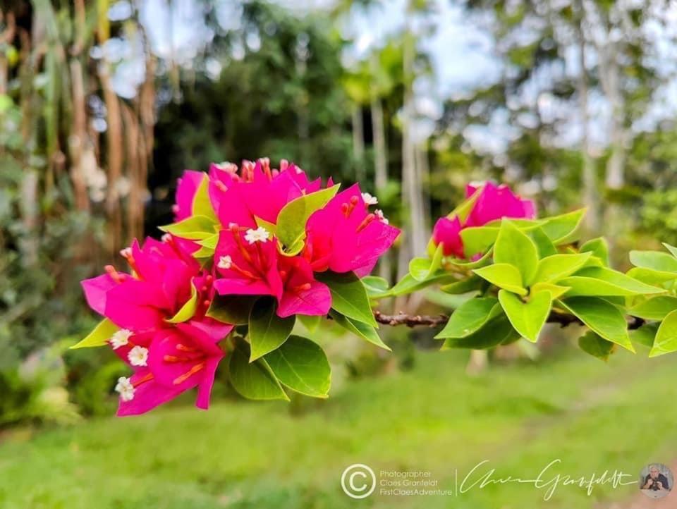Phurin Thara Resort Koh Lanta Exterior photo